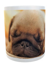 Cute pug mug 11oz for animal lovers dog and cats available gift / present