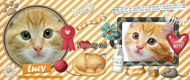 I love my cat, own pictures mug, send us pic, cup, customise